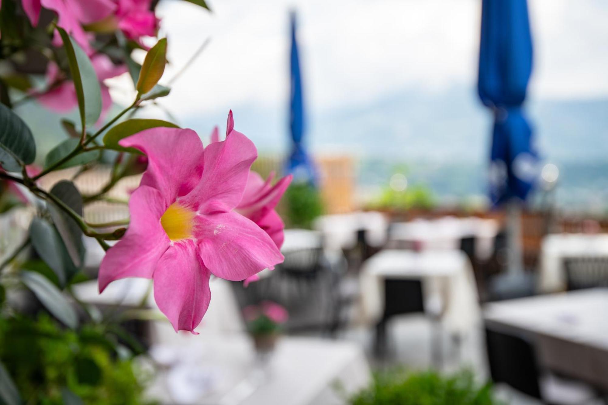 Hotel Residence Mavie Лагундо Екстериор снимка